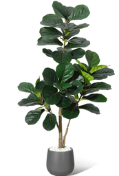 [#J5-33] Plants (photo representation)