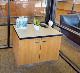 [#D20-9] 2-door cabinet