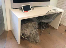 [#E2-67] White desk