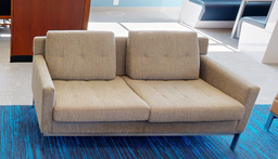[#B6-9] 2 seat grey couch