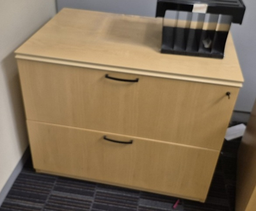 [#D0-6] Wooden 2-High Lateral File