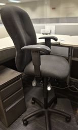 [#B13-28] CSR Stool
