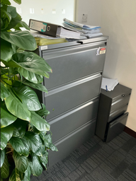 [#D10-8] Filing Cabinet - Large