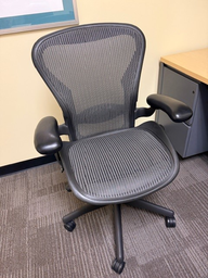 [#B13-19] Aeron Task Chair - Large