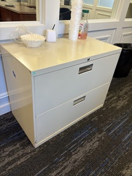 [#D6] Filing Cabinet – 2 Drawer Lateral, Beige