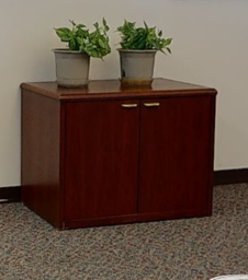 [#D20-13] 2 door medium cabinet
