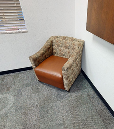 [#B12] Patterned Lounge Chair