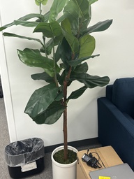 [#J5-13] Plant