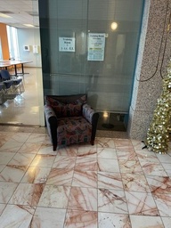 [#B12-32] Patterned Lounge Chair