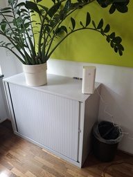 [#J5-49] Plant Pot &amp; Plant 