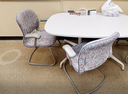 [#B8-6] Paisely chair