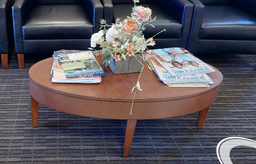 [#C3-9] Oval coffee table