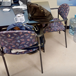 [#B8-4] Paisley guest chair