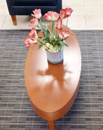 [#C3-9] Oval coffee table