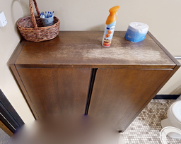[#D21-10] 2 door tall cabinet