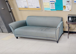 [#B7-9] Grey couch