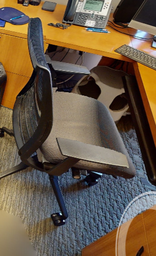 [#B13-5] Task chair w/arms