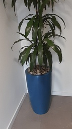 [#J5-12] Blue round plant pot