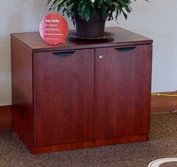 [#D20-11] 2 door medium cabinet wood