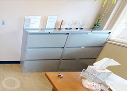 [#D8-9] 3D lateral filing cabinet