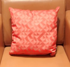 [#I11-17] Throw Pillow
