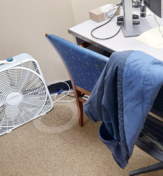 [#B9-1] Blue patterned guest chair