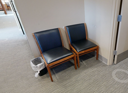 [#B9-18] Guest Chair