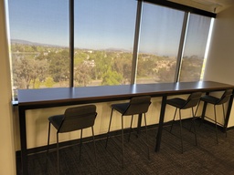 [#C11-16] Skinny Hightop Table