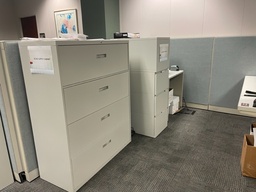 [#D10-1] 4-Drawer Filing Cabinet