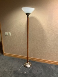 [#I7-53] Floor Lamps