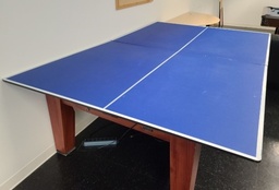 [#C10-55] Ping Pong Table