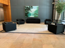 [#B8-88] Guest Chair Sofa Set