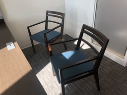 [#B8-2] Guest Chairs