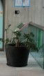 [#J5-37] Metal pot, black | Maceta metalica, negro 
